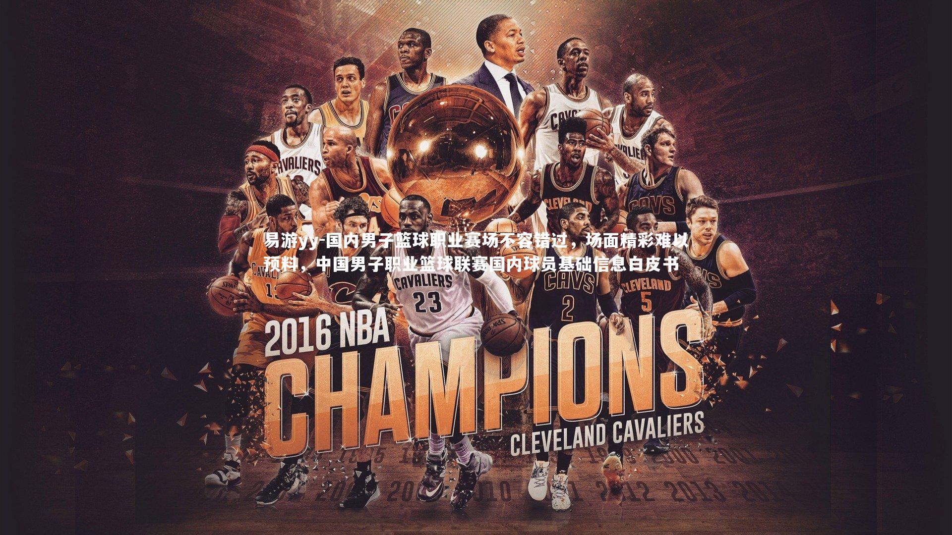 易游yy-国内男子篮球职业赛场不容错过，场面精彩难以预料，中国男子职业篮球联赛国内球员基础信息白皮书