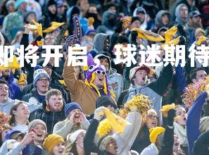 易游yy-篮球盛宴即将开启，球迷期待不已！，蓝球盛宴