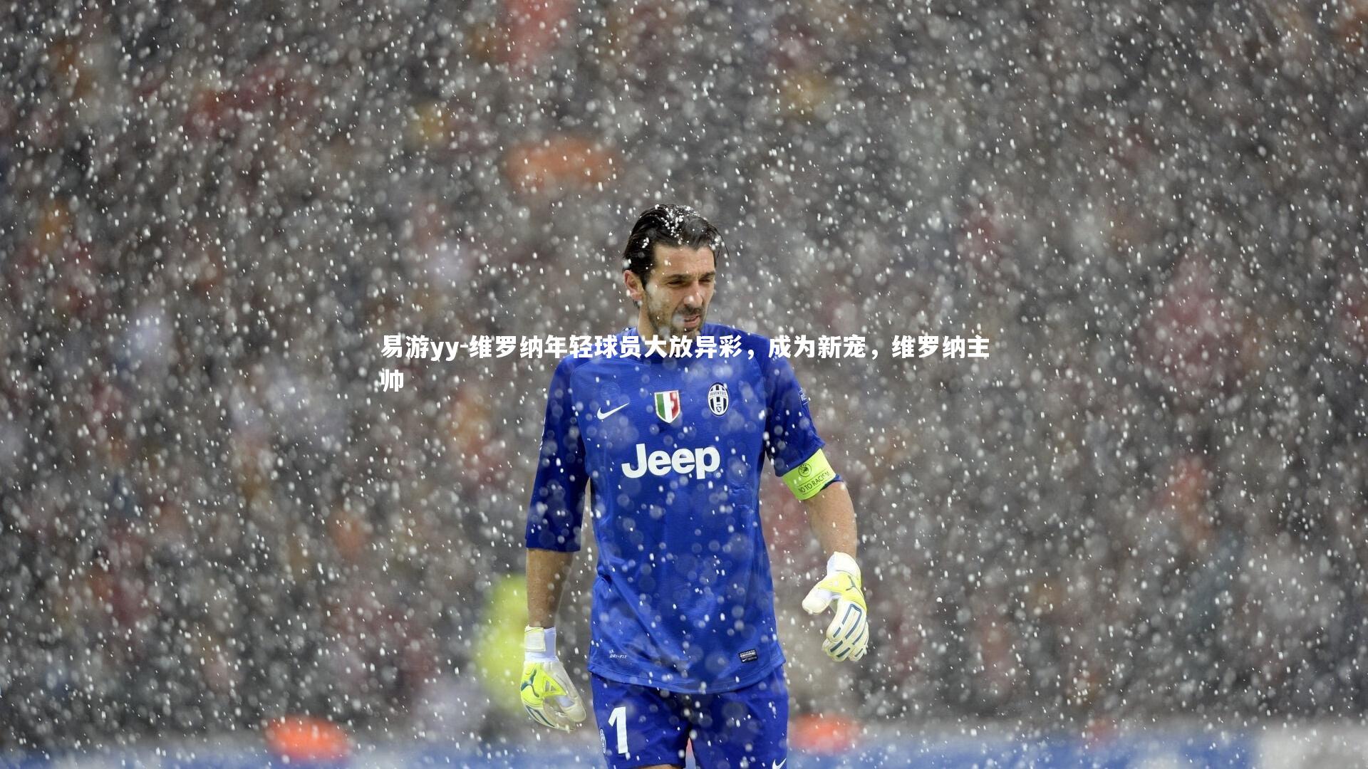 维罗纳年轻球员大放异彩,成为新宠,维罗纳主帅