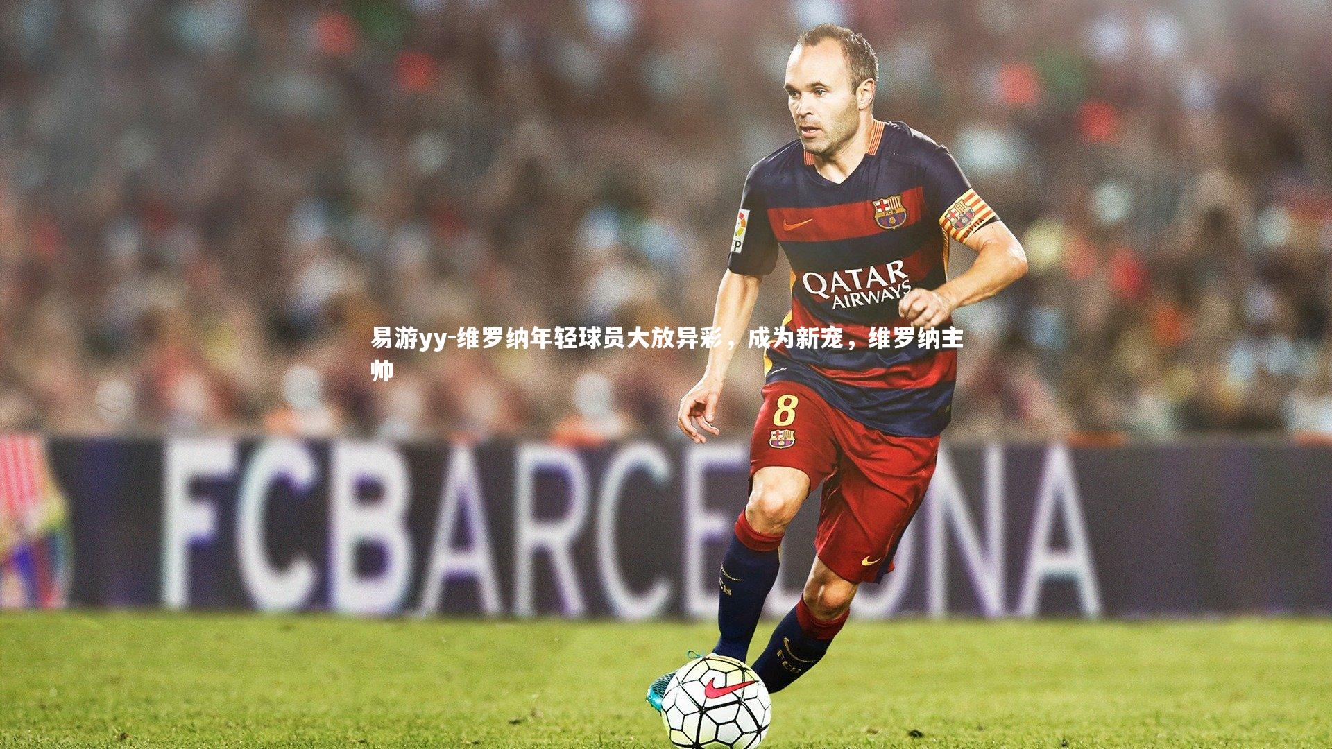 维罗纳年轻球员大放异彩,成为新宠,维罗纳主帅