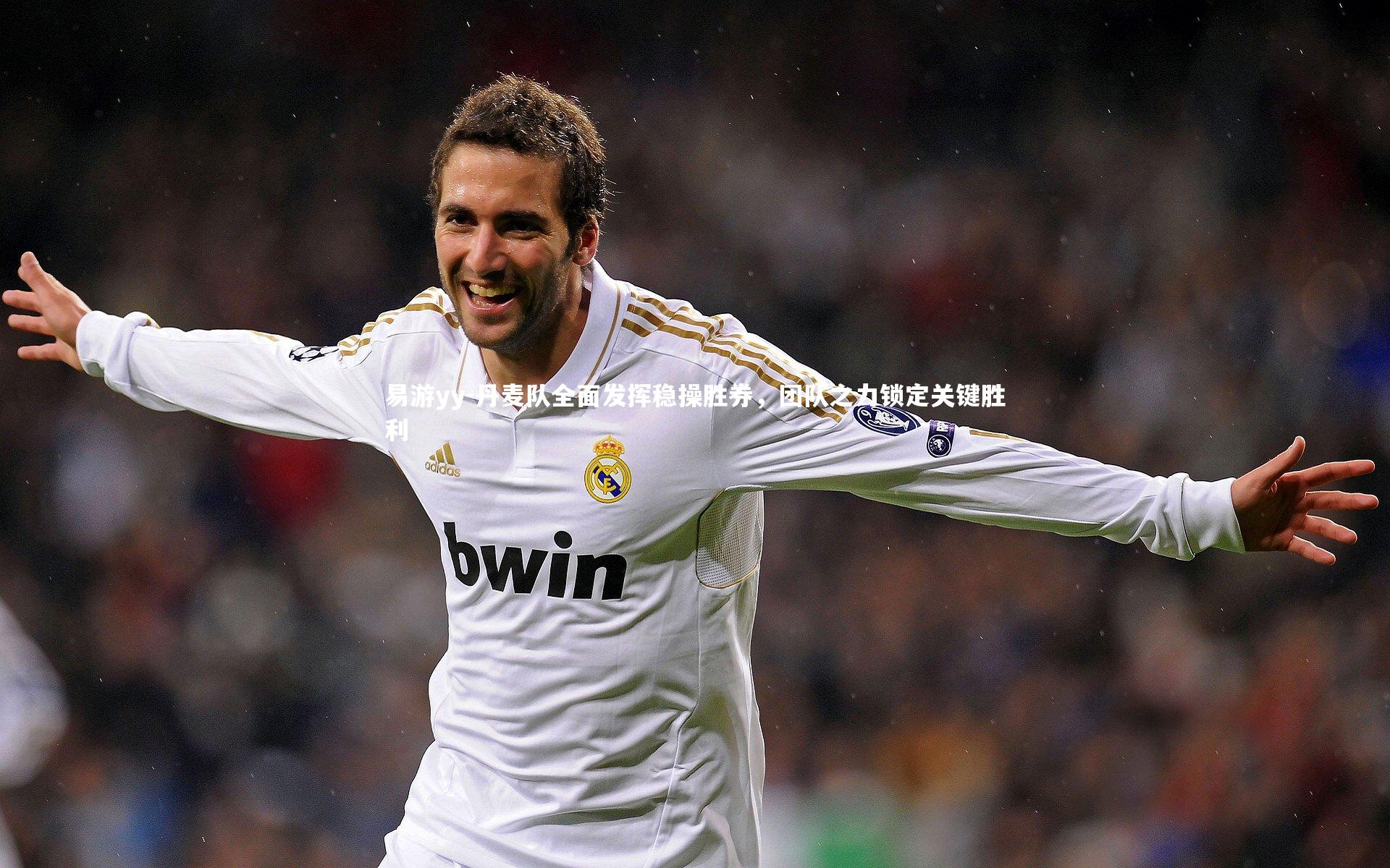 易游yy-丹麦队全面发挥稳操胜券，团队之力锁定关键胜利